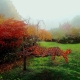 My lovely November