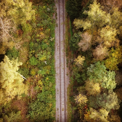Through the forest.