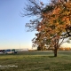 Autumn colours 