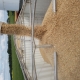 AG Days
