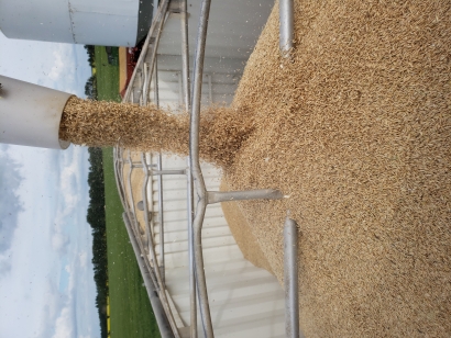 AG Days