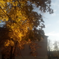 2020fallcontest
