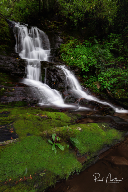 Gage Falls