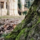 Ground Point of view