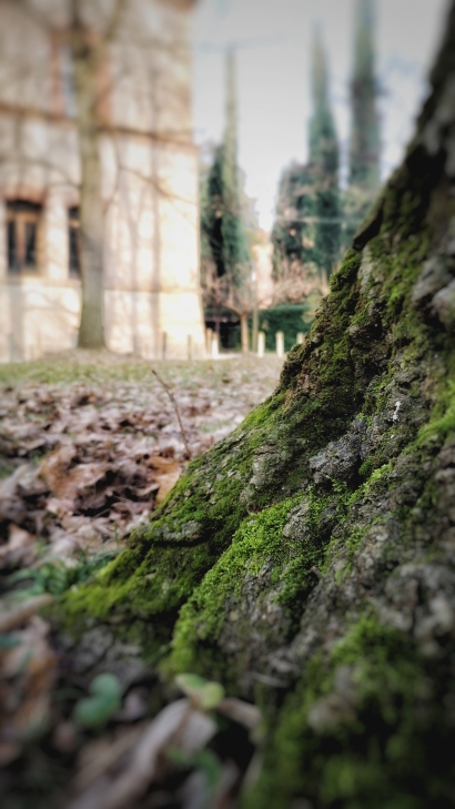 Ground Point of view