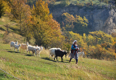 Autumn At Mishoko