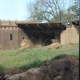 Lions 