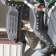 Easy rider