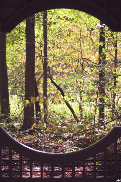 Fall through natures eyes