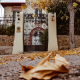 Autumn 