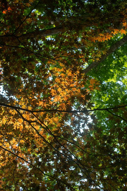 Fall in Cuyahoga Valley