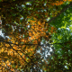 Fall in Cuyahoga Valley