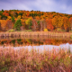 Fall Into Pond