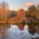 Fall Splendour 