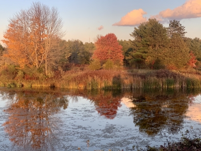 Fall Splendour