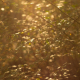 Autumn in Losiny Ostrov National Park - 3