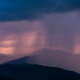 Purple Rain