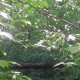 20200501_104112