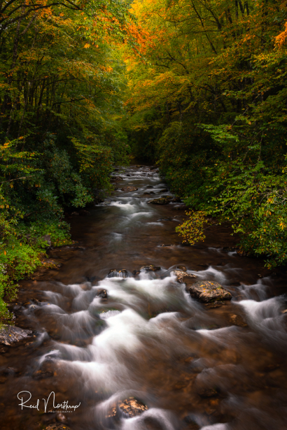 Autumn Colors and Cascades
