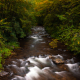 Autumn Colors and Cascades