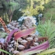 Pinecones Ribbon
