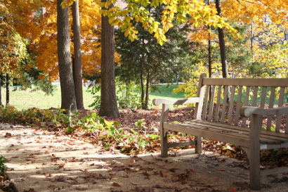 Fall Colors