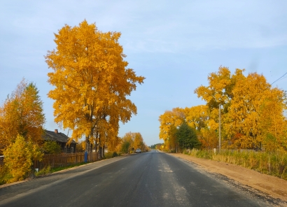 The gold autumn