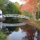 2020Fall Photo Contest Fall Bridge