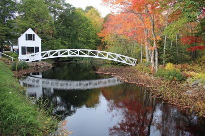 2020Fall Photo Contest Fall Br...