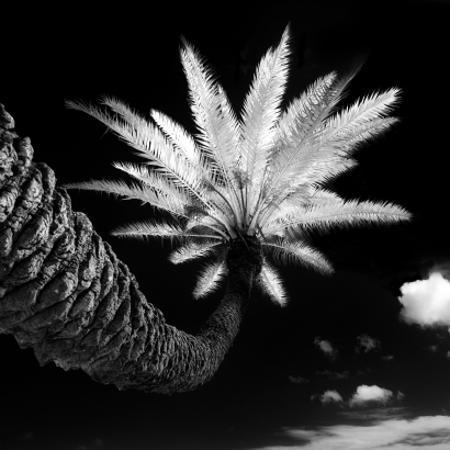 Natures Fireworks