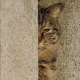 Leka Huie
