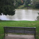 The park