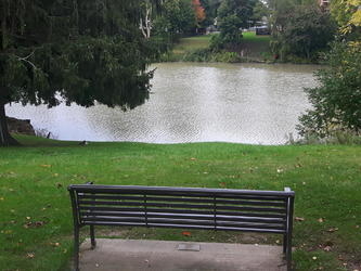 The park