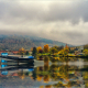 Fall on the Rhine