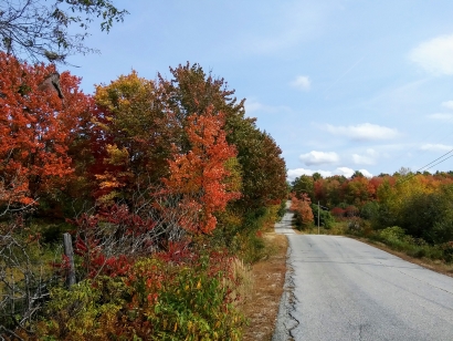 Autumn Drive