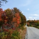 Autumn Drive
