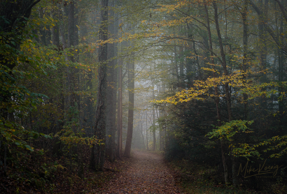 Autumn on the Blue Ridge Parkw...