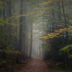 Autumn on the Blue Ridge Parkway
