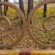  2020fallcontest