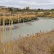 J-River