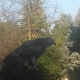 Hawk
