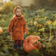 2020fallcontest
