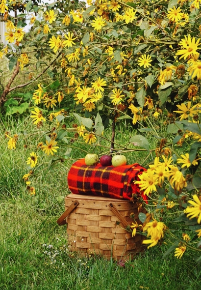 Fall Picnic