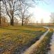 Autumn meadow