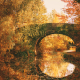 Autumn bridge