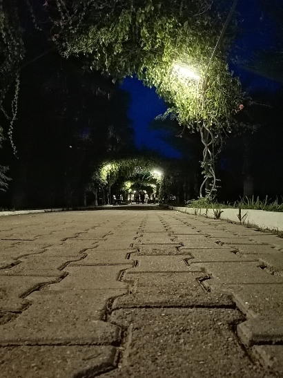 Alley