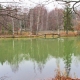 Autumn in Abramtsevo.