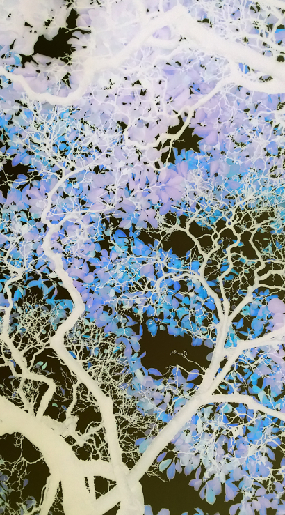 Hippocampal Fall