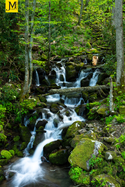 Through The Smoky's Life Flows