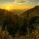 Sunrise from Newfound Gap